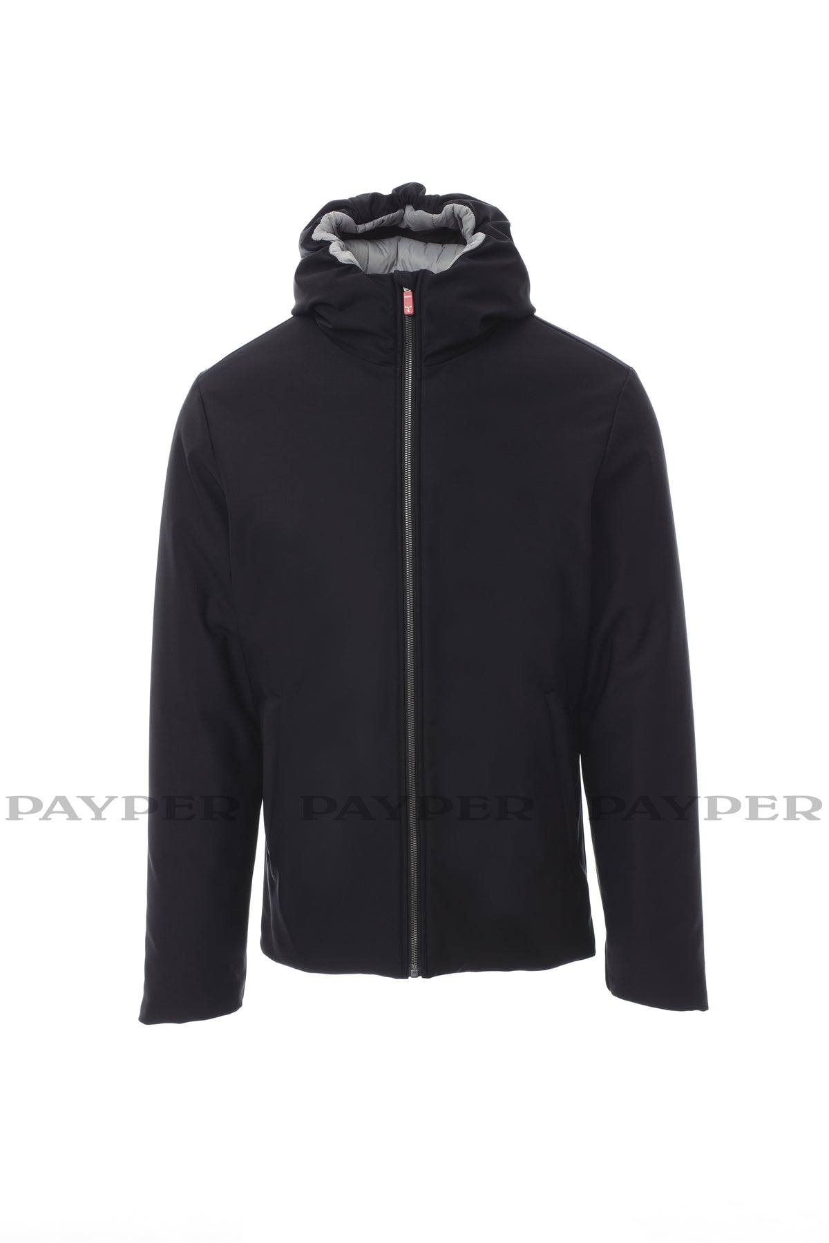 Wattierte Herren Softshelljacke Oregon von Payper – Produkt- und Farbansicht für Textildruck und Stickerei