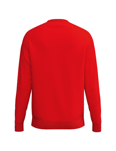 ERIMA CMPT Wings Sweatshirt Rückansicht