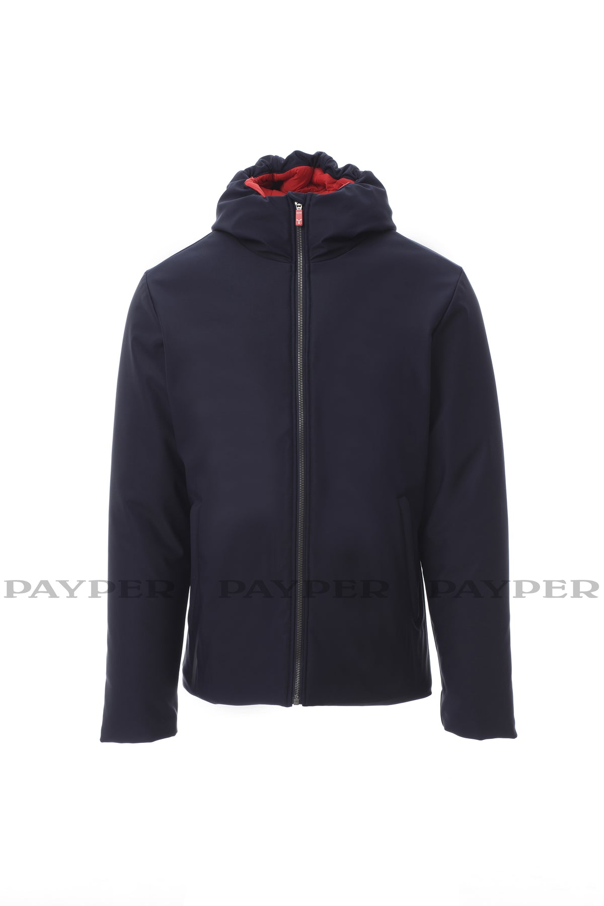 Wattierte Herren Softshelljacke Oregon von Payper – Produkt- und Farbansicht für Textildruck und Stickerei